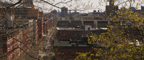 Dwelling Alongside our Neighbors in West Harlem