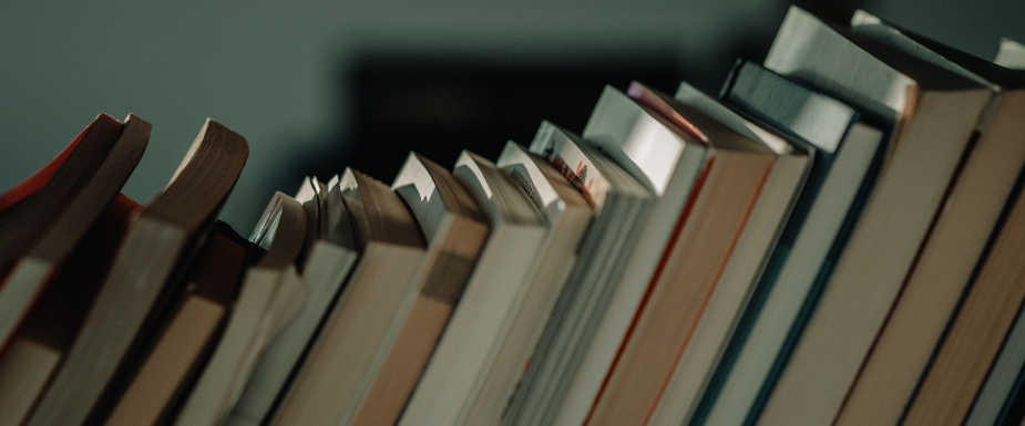 Mercy & Justice Round-Up: November Edition