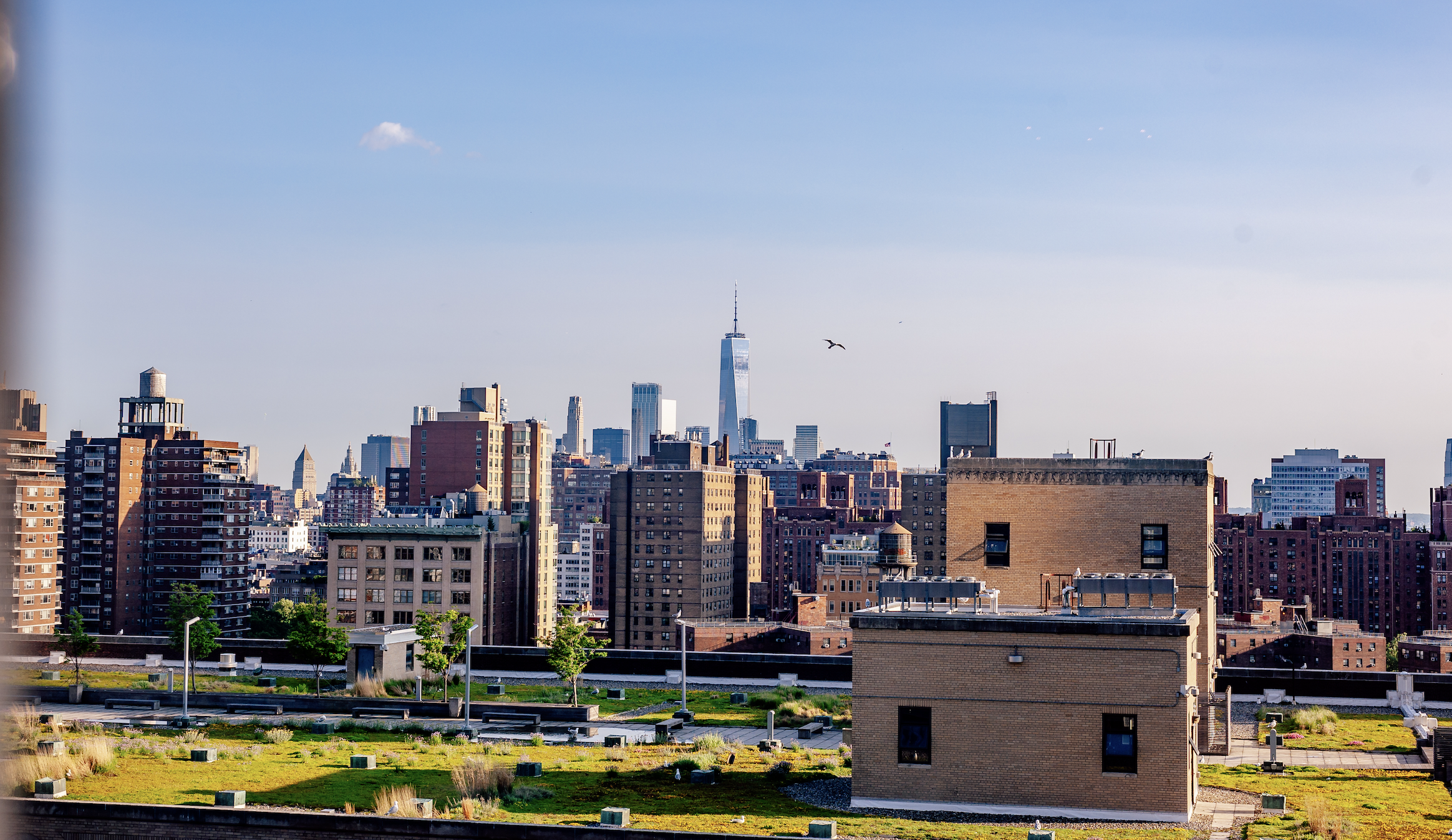 Hope through praying