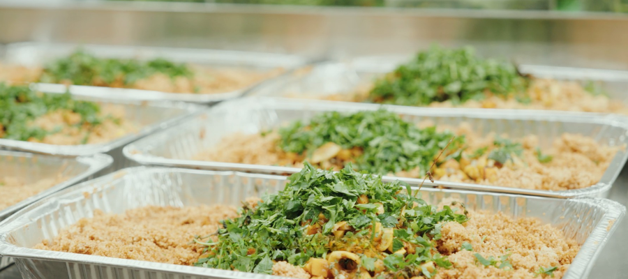 The Hunger Collective